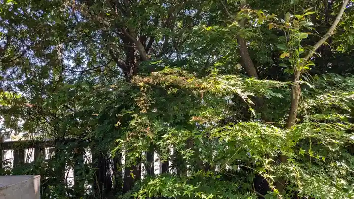 函館厳島神社の自然