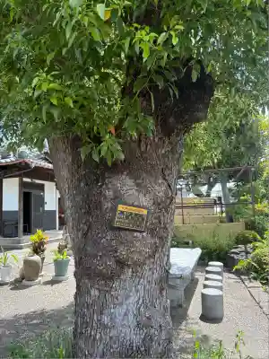 大日寺(愛知県)