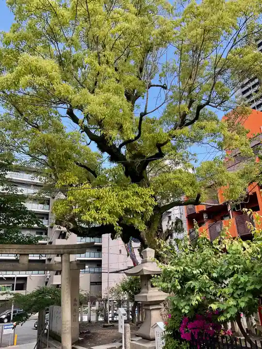 東高津宮(大阪府)