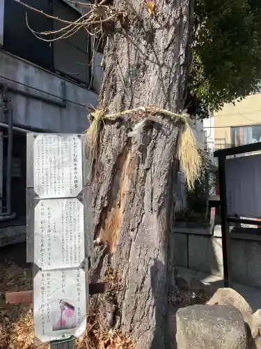 八坂神社の{uncategorized: "未分類", other: "その他", undefined: "問題あり", building: "その他建物", grave: "お墓", sacred_gate: "鳥居", guardian: "狛犬", statue: "像", buddha: "仏像", history: "歴史", nature: "自然", garden: "庭園", animal: "動物", pagoda: "塔", temizu: "手水舎", mountain_gate: "山門・神門", sanctuary: "本殿・本堂", subordinate: "末社・摂社", art: "芸術", scenery: "景色", jizo: "地蔵", ema: "絵馬", goshuin: "御朱印", omikuji: "おみくじ", items: "授与品その他", amulet: "お守り", goshuincho: "御朱印帳", eats: "食事", festival: "お祭り", votive_dance: "神楽", shichigosan: "七五三参", wedding: "結婚式", experience: "体験その他", initially: "初詣", around: "周辺", anti_infection: "感染症対策"}