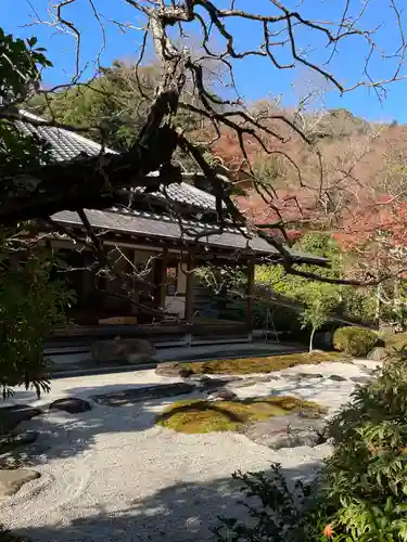 浄妙寺の庭園