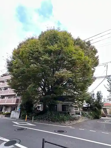小野神社(東京都)