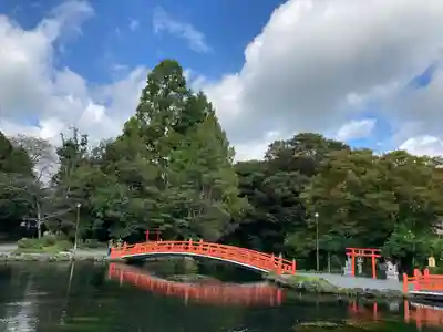 富士山本宮浅間大社(静岡県)
