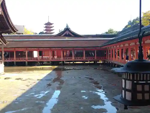 厳島神社の建物その他