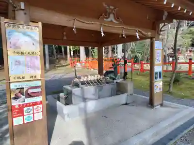 大原野神社の{uncategorized: "未分類", other: "その他", undefined: "問題あり", building: "その他建物", grave: "お墓", sacred_gate: "鳥居", guardian: "狛犬", statue: "像", buddha: "仏像", history: "歴史", nature: "自然", garden: "庭園", animal: "動物", pagoda: "塔", temizu: "手水舎", mountain_gate: "山門・神門", sanctuary: "本殿・本堂", subordinate: "末社・摂社", art: "芸術", scenery: "景色", jizo: "地蔵", ema: "絵馬", goshuin: "御朱印", omikuji: "おみくじ", items: "授与品その他", amulet: "お守り", goshuincho: "御朱印帳", eats: "食事", festival: "お祭り", votive_dance: "神楽", shichigosan: "七五三参", wedding: "結婚式", experience: "体験その他", initially: "初詣", around: "周辺", anti_infection: "感染症対策"}