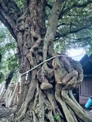 音無神社(静岡県)