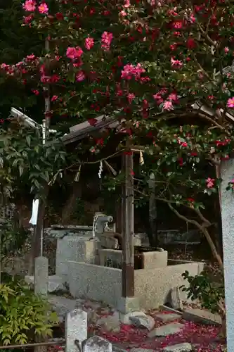 八神社(京都府)