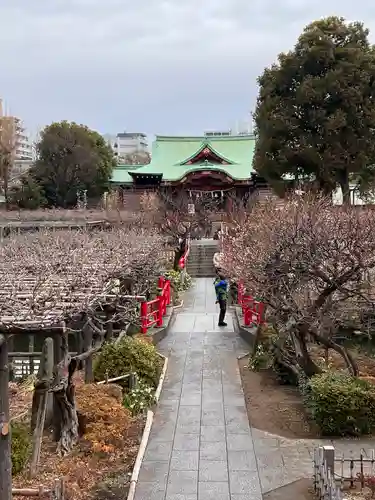 亀戸天神社の庭園