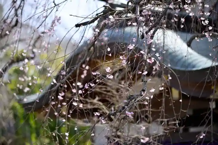 密藏院(埼玉県)