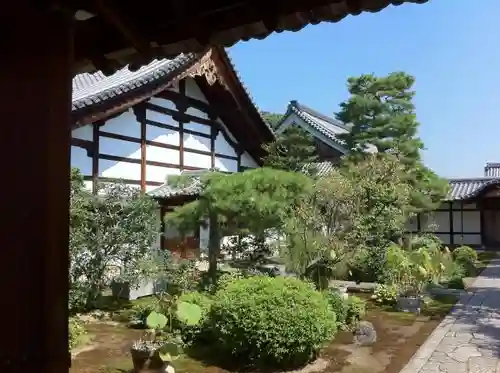 妙心寺（妙心禅寺）の庭園