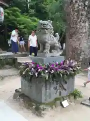 宝満宮竈門神社の狛犬