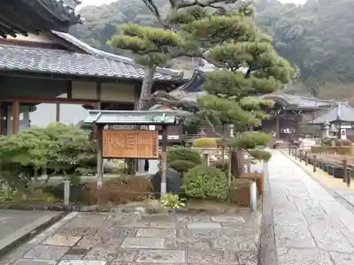 三室戸寺(京都府)