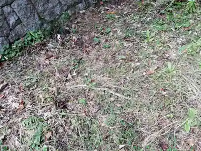 名称不明(神社)の動物