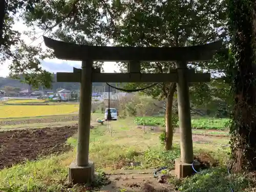 八坂神社の鳥居