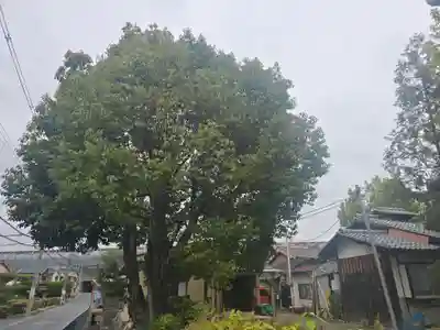 浄蓮華院(京都府)