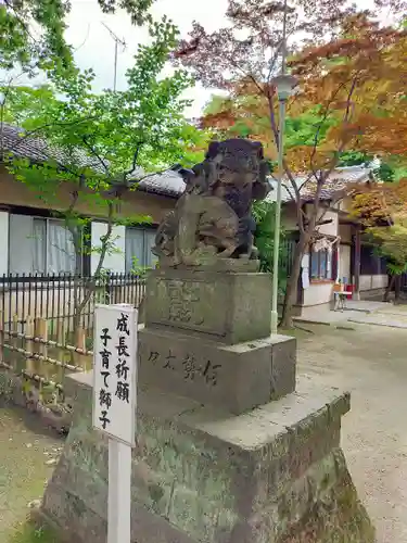 本太氷川神社の狛犬