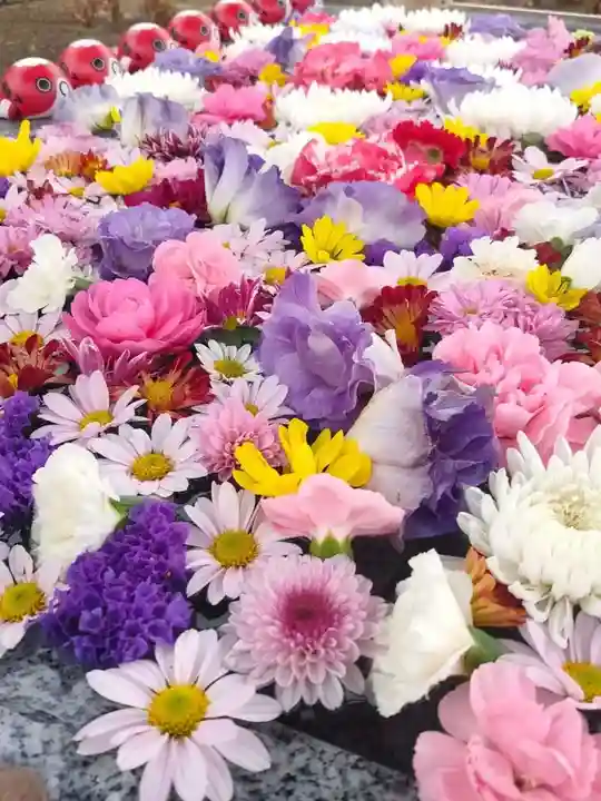 勝福寺(茨城県)