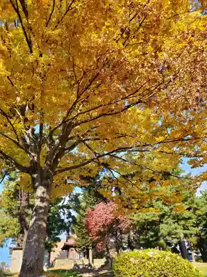 麓山神社の自然