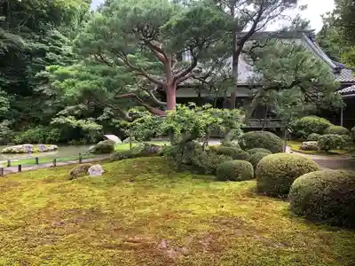 青蓮院門跡のその他建物