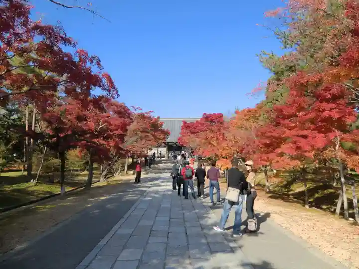 仁和寺(京都府)