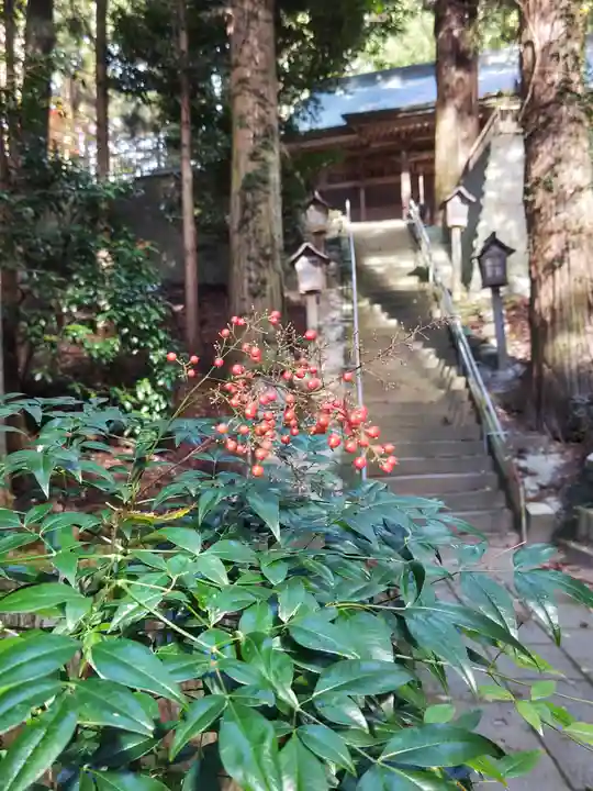 鹿島大神宮(福島県)