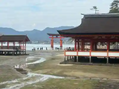 厳島神社(広島県)