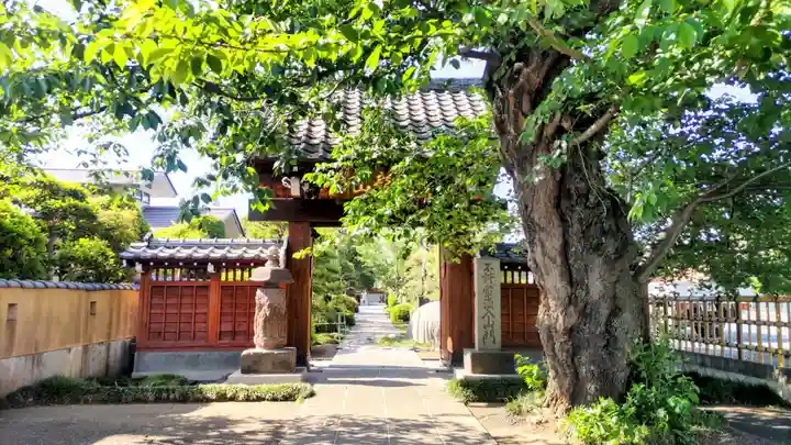 松林寺(埼玉県)