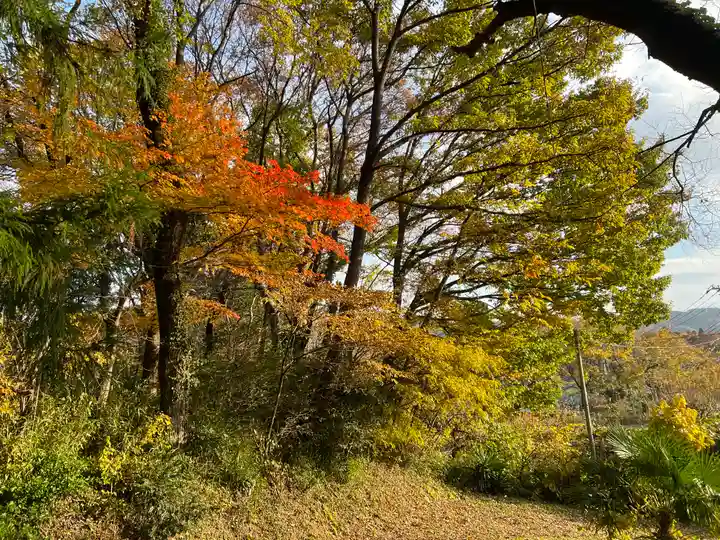 若宮八幡神社(山梨県)