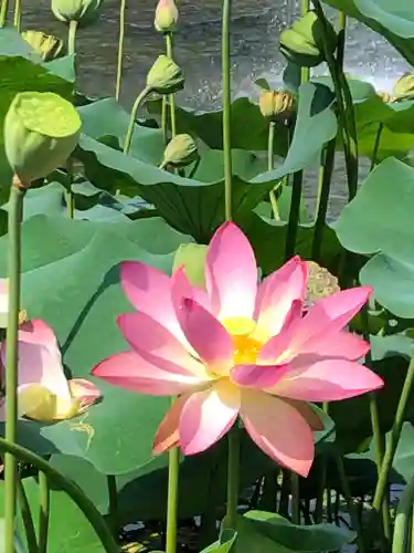 大國魂神社の周辺