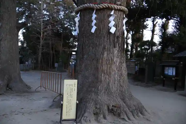春日部八幡神社の{uncategorized: "未分類", other: "その他", undefined: "問題あり", building: "その他建物", grave: "お墓", sacred_gate: "鳥居", guardian: "狛犬", statue: "像", buddha: "仏像", history: "歴史", nature: "自然", garden: "庭園", animal: "動物", pagoda: "塔", temizu: "手水舎", mountain_gate: "山門・神門", sanctuary: "本殿・本堂", subordinate: "末社・摂社", art: "芸術", scenery: "景色", jizo: "地蔵", ema: "絵馬", goshuin: "御朱印", omikuji: "おみくじ", items: "授与品その他", amulet: "お守り", goshuincho: "御朱印帳", eats: "食事", festival: "お祭り", votive_dance: "神楽", shichigosan: "七五三参", wedding: "結婚式", experience: "体験その他", initially: "初詣", around: "周辺", anti_infection: "感染症対策"}