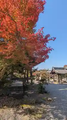 穴太寺(京都府)