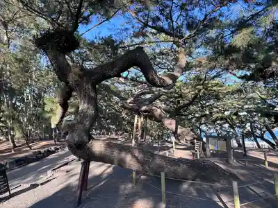 御穂神社(静岡県)