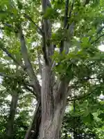 長流内神社(北海道)