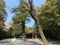 月夜見宮(豊受大神宮別宮)の自然