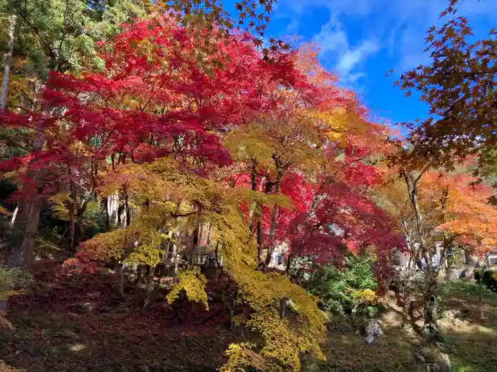 洞光寺(兵庫県)