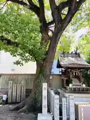 廣田神社の自然