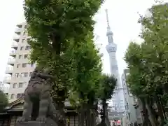 牛嶋神社の建物その他