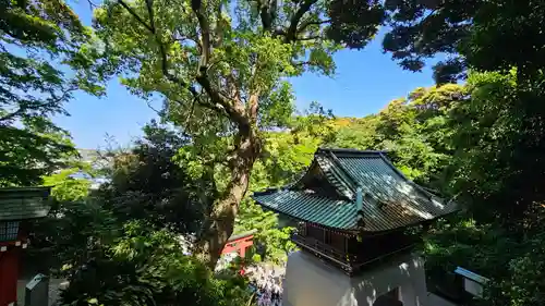 江島神社(神奈川県)