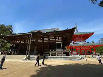 金剛峰寺大伽藍金堂(和歌山県)