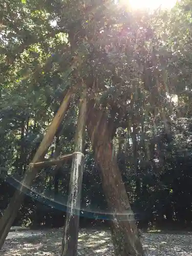 神麻続機殿神社(皇大神宮所管社)の自然