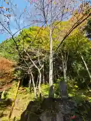 戸隠神社火之御子社(長野県)