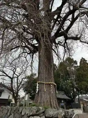 天川命神社(滋賀県)