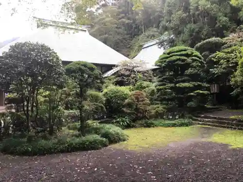 吐月峰柴屋寺の庭園