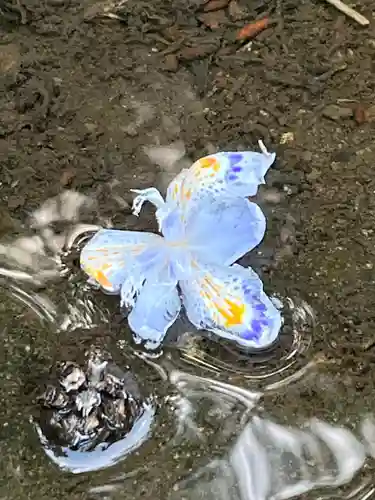 妙義神社(群馬県)