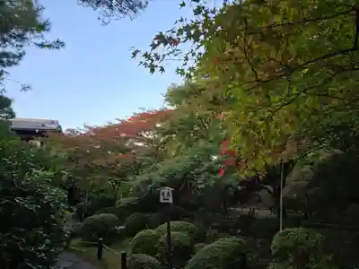青蓮院門跡(京都府)