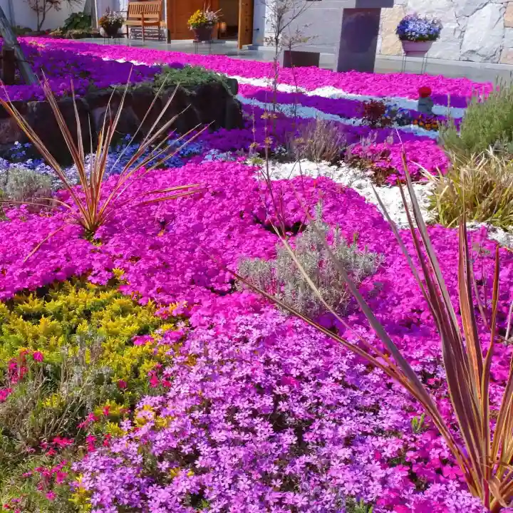 寿量山 速成寺の自然