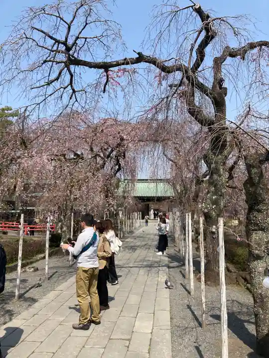 三嶋大社(静岡県)