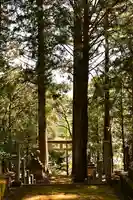 八幡神社(渋草)(愛媛県)