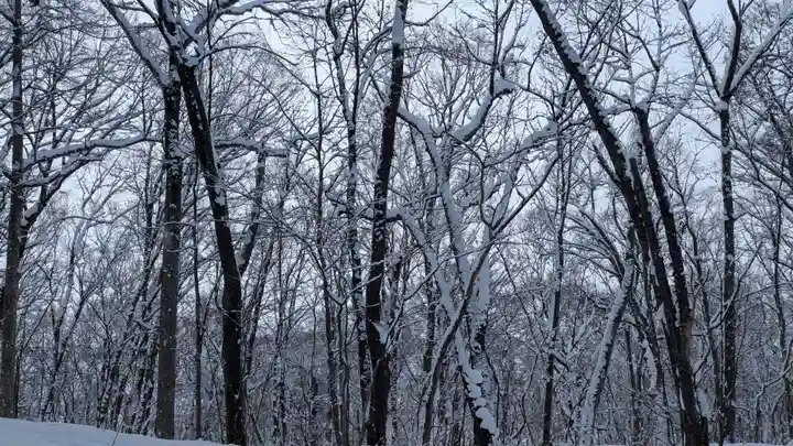 旭山稲荷金刀比羅神社の自然