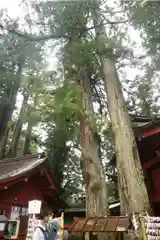 日光二荒山神社の自然